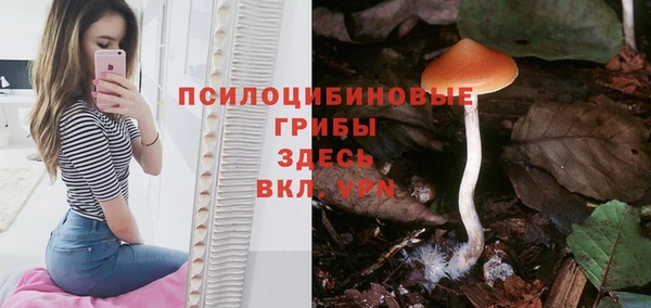 мяу мяу кристалл Вяземский